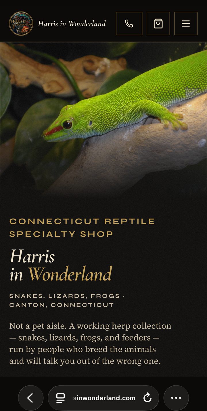 Harris in Wonderland website shown on a mobile phone
